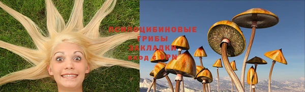 spice Балабаново
