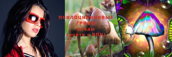 spice Балабаново