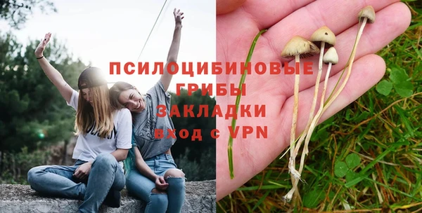 spice Балабаново