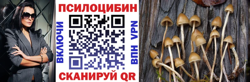Купить закладки  Дзержинский  Галлюциногенные грибы прущие грибы 